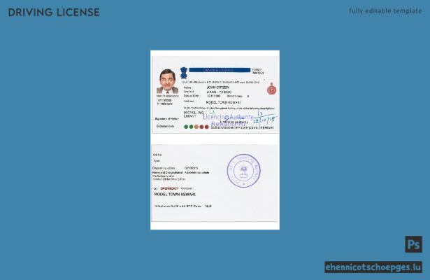 Beispielvorschau für den indischen Führerschein Version 5